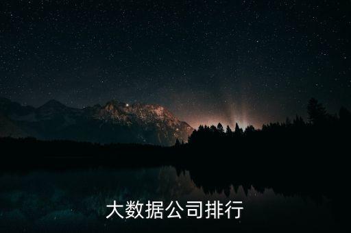 大數(shù)據(jù)公司排行