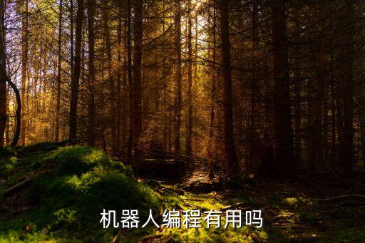 機器人編程有用嗎
