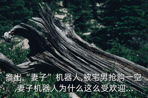 推出“妻子”機(jī)器人,被宅男搶購一空,妻子機(jī)器人為什么這么受歡迎...