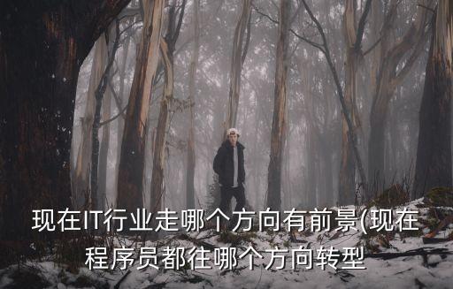 現(xiàn)在IT行業(yè)走哪個方向有前景(現(xiàn)在程序員都往哪個方向轉(zhuǎn)型