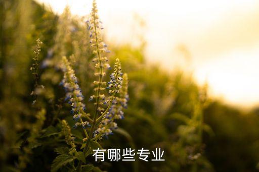 有哪些專業(yè)