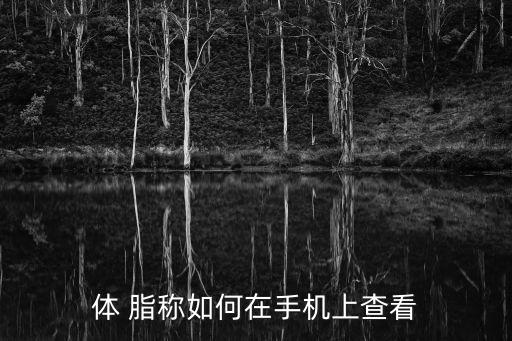 體 脂稱如何在手機上查看