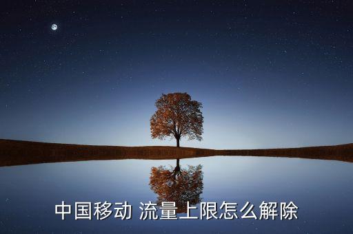 中國(guó)移動(dòng) 流量上限怎么解除