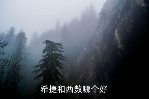 西部數(shù)據(jù)hgst