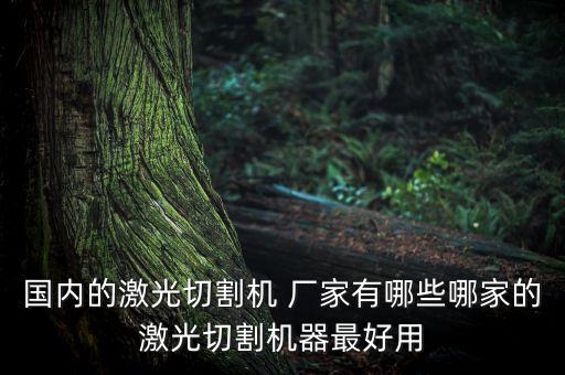國內(nèi)的激光切割機 廠家有哪些哪家的激光切割機器最好用