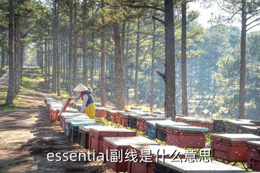 essential副線是什么意思