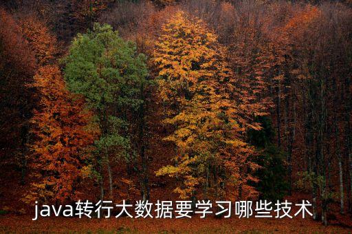 java轉(zhuǎn)行大數(shù)據(jù)要學(xué)習(xí)哪些技術(shù)