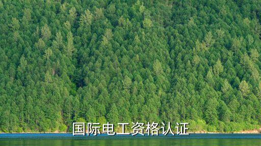 國際電工資格認證