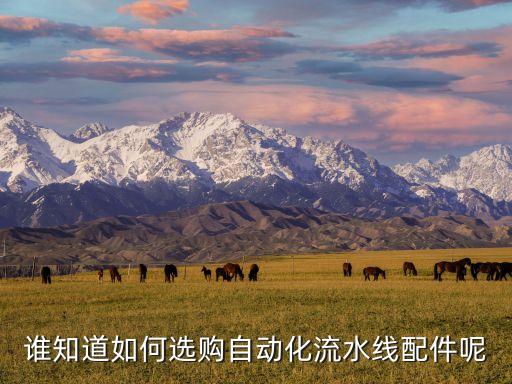 誰(shuí)知道如何選購(gòu)自動(dòng)化流水線配件呢