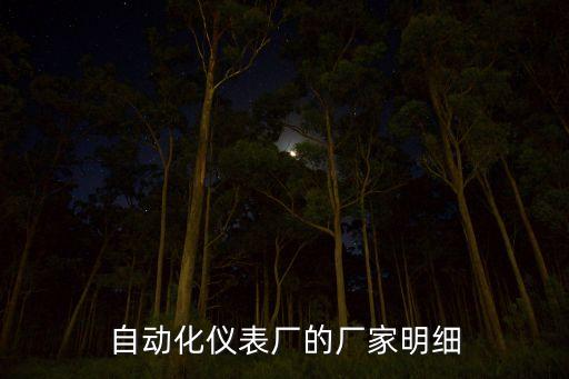 自動(dòng)化儀表廠的廠家明細(xì)