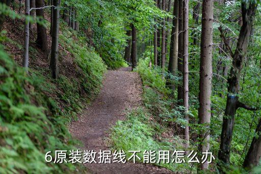 6原裝數(shù)據(jù)線不能用怎么辦