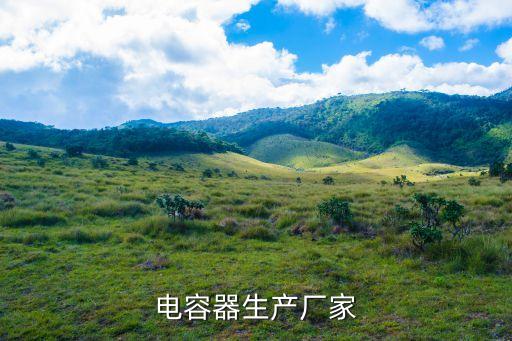 非標(biāo)自動(dòng)化設(shè)備電容廠家,汽車非標(biāo)自動(dòng)化設(shè)備
