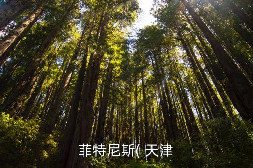 菲特尼斯( 天津