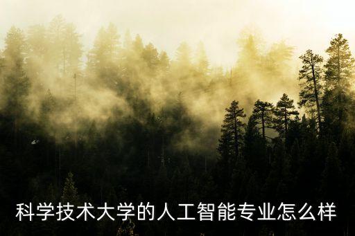 科學(xué)技術(shù)大學(xué)的人工智能專業(yè)怎么樣