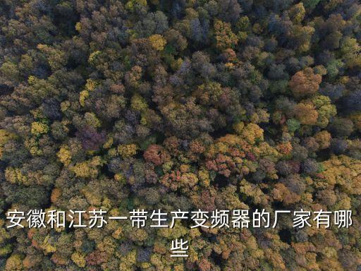 安徽和江蘇一帶生產(chǎn)變頻器的廠家有哪些