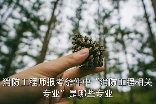 消防工程師報考條件中“消防工程相關(guān)專業(yè)”是哪些專業(yè)
