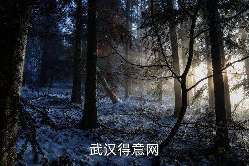 武漢得意網(wǎng)