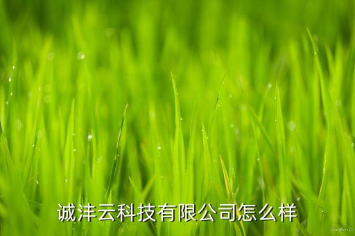 誠灃云科技有限公司怎么樣