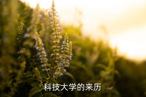 中國(guó)科學(xué)技術(shù)大學(xué)機(jī)器人足球藍(lán)鷹隊(duì),中科大機(jī)器人隊(duì)