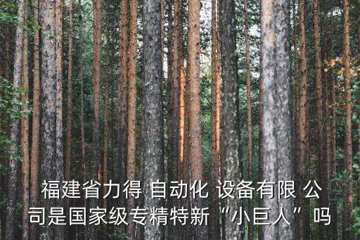  福建省力得 自動化 設(shè)備有限 公司是國家級專精特新“小巨人”嗎