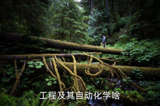 工程及其自動(dòng)化學(xué)啥