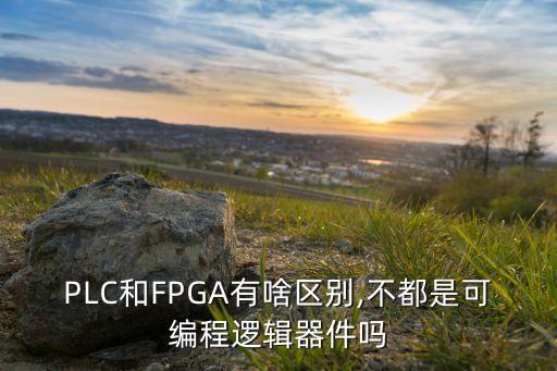 PLC和FPGA有啥區(qū)別,不都是可編程邏輯器件嗎