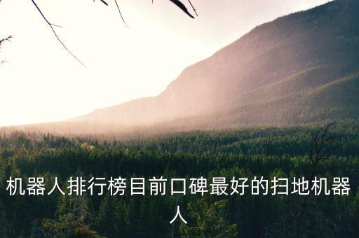 機器人排行榜目前口碑最好的掃地機器人