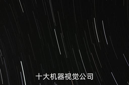 十大機(jī)器視覺公司