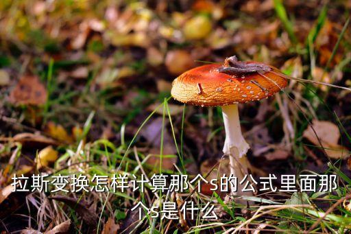 拉氏變換常用公式,自動控制拉氏變換常用公式