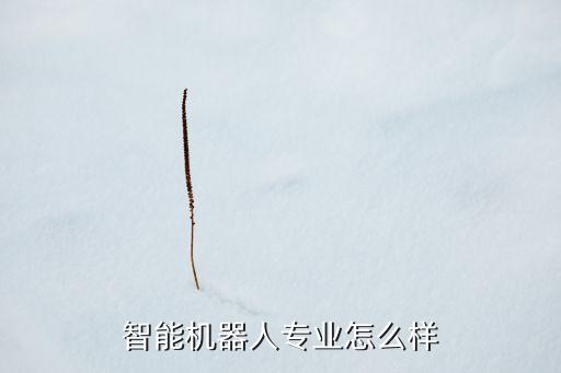 智能機器人專業(yè)怎么樣