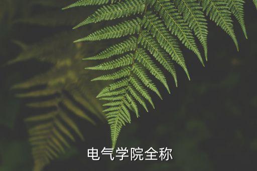 電氣學院全稱