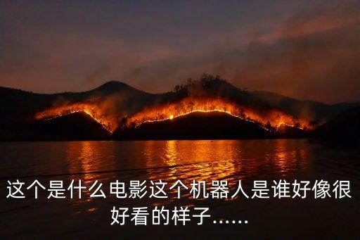 這個(gè)是什么電影這個(gè)機(jī)器人是誰好像很好看的樣子……
