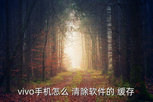 應(yīng)用緩存數(shù)據(jù)可清除嗎,清除手機(jī)應(yīng)用緩存數(shù)據(jù)會(huì)怎么樣
