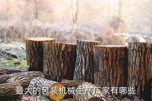 廣州生產(chǎn)自動(dòng)化機(jī)械設(shè)備,非標(biāo)準(zhǔn)自動(dòng)化機(jī)械設(shè)備制造商