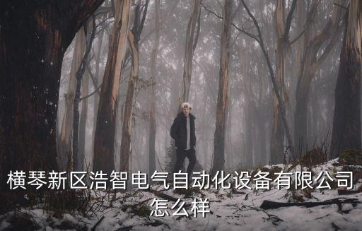 橫琴新區(qū)浩智電氣自動化設(shè)備有限公司怎么樣