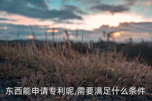 東西能申請專利呢,需要滿足什么條件