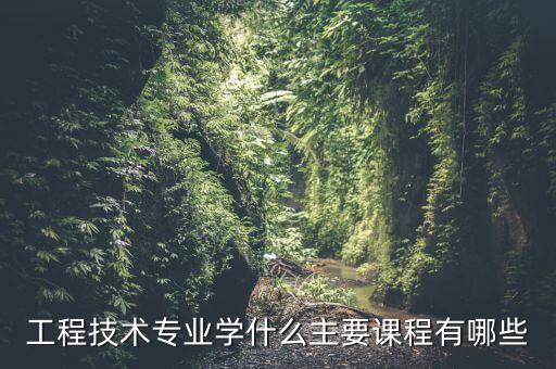 工程技術(shù)專業(yè)學(xué)什么主要課程有哪些