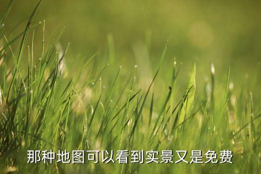 那種地圖可以看到實(shí)景又是免費(fèi)