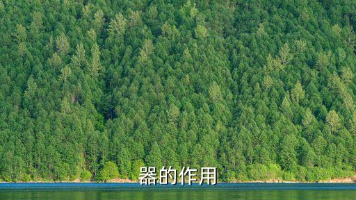 電氣自動(dòng)化變壓器的功能有哪些,電子變壓器自動(dòng)化設(shè)備