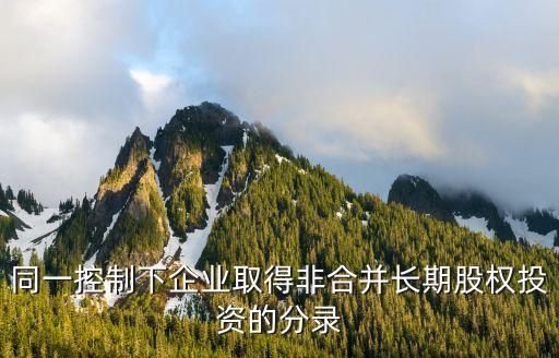 同一控制下企業(yè)取得非合并長期股權(quán)投資的分錄