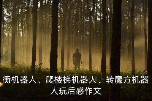 魔方機(jī)器人作文,科技館魔方機(jī)器人作文
