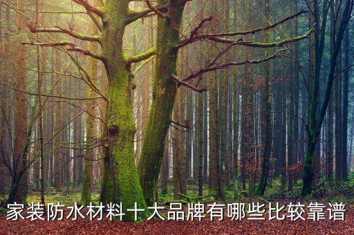 家裝防水材料十大品牌有哪些比較靠譜