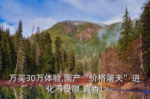 leapmotor,飛躍電機是什么意思?