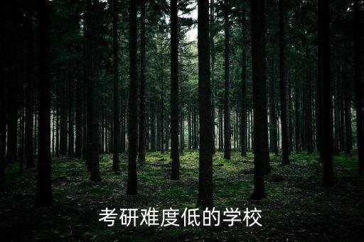 電氣自動化是學(xué)碩還是專碩,天津大學(xué)電氣自動化專業(yè)