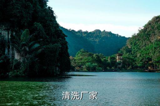 清洗廠家