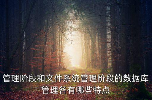 管理階段和文件系統(tǒng)管理階段的數(shù)據(jù)庫管理各有哪些特點(diǎn)