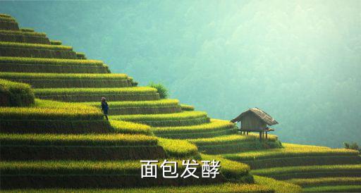 面包夾自動(dòng)化設(shè)備,全自動(dòng)面包生產(chǎn)設(shè)備