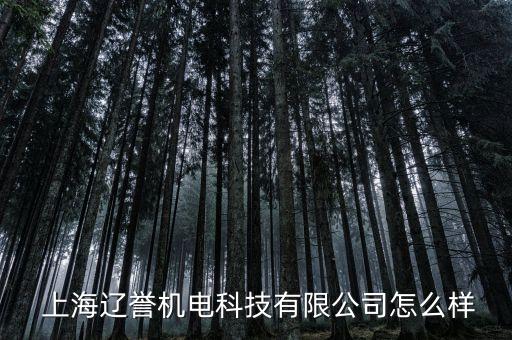  上海遼譽機電科技有限公司怎么樣