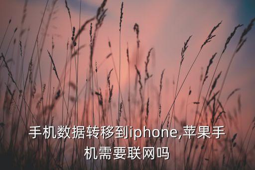 手機(jī)數(shù)據(jù)轉(zhuǎn)移到iphone,蘋(píng)果手機(jī)需要聯(lián)網(wǎng)嗎