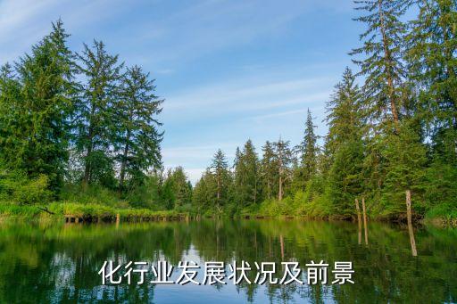 化行業(yè)發(fā)展?fàn)顩r及前景